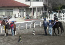 東京競馬場
