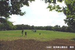 府中の森公園