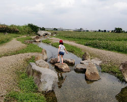 多摩川親水公園